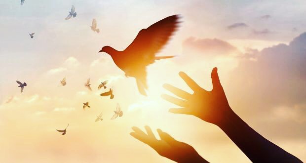 Lyrical Zen Instagram Image